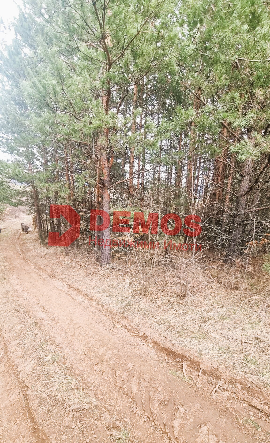 Продава парцел , София област, м-т Мечката