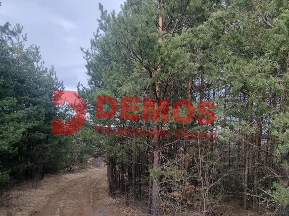 Продава парцел , София област, м-т Мечката